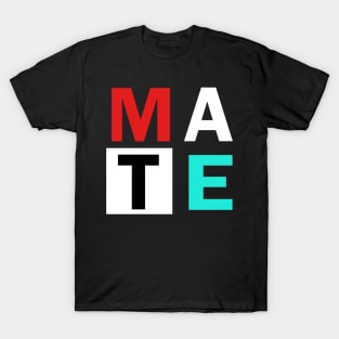 Matching Couple Soul and Mate Retro Valentines Day Shirt T-Shirt